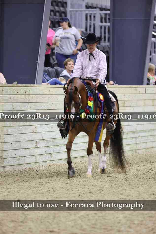 Proof Number 23R13_11916