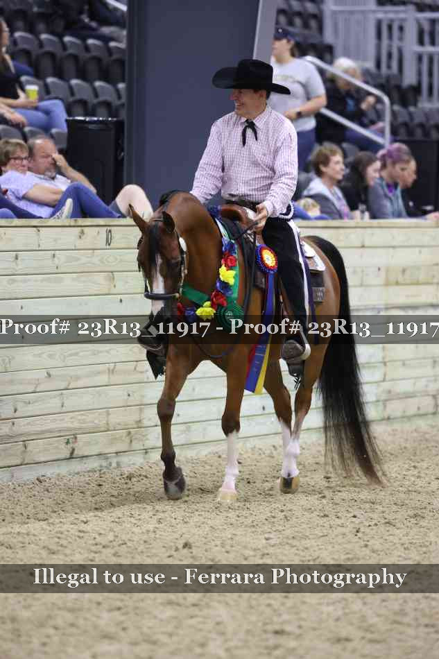 Proof Number 23R13_11917