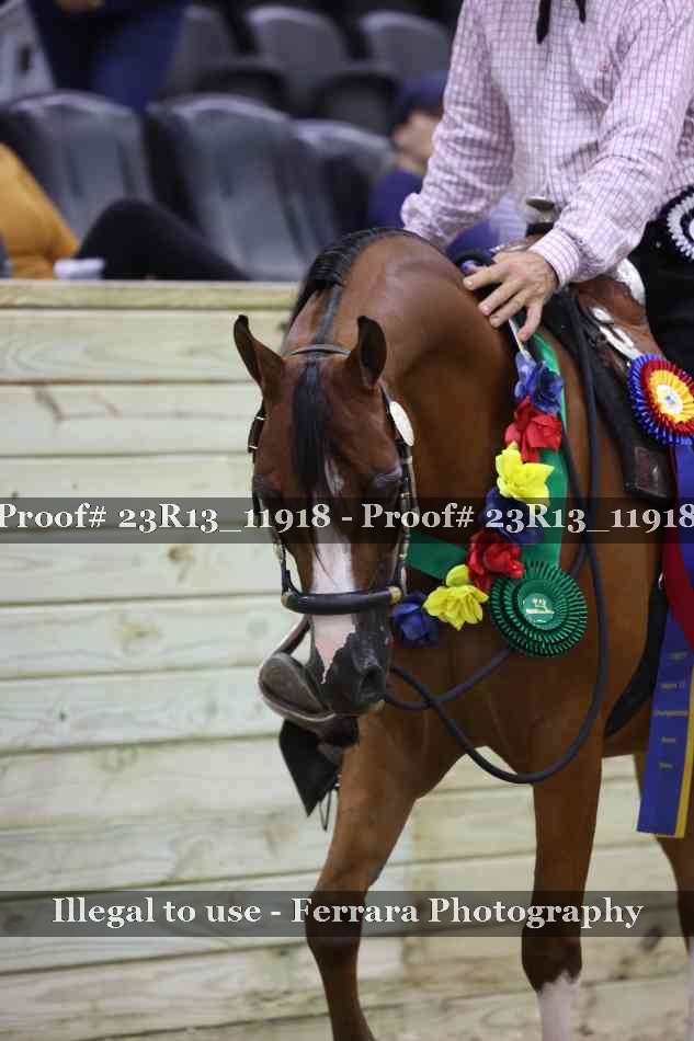 Proof Number 23R13_11918