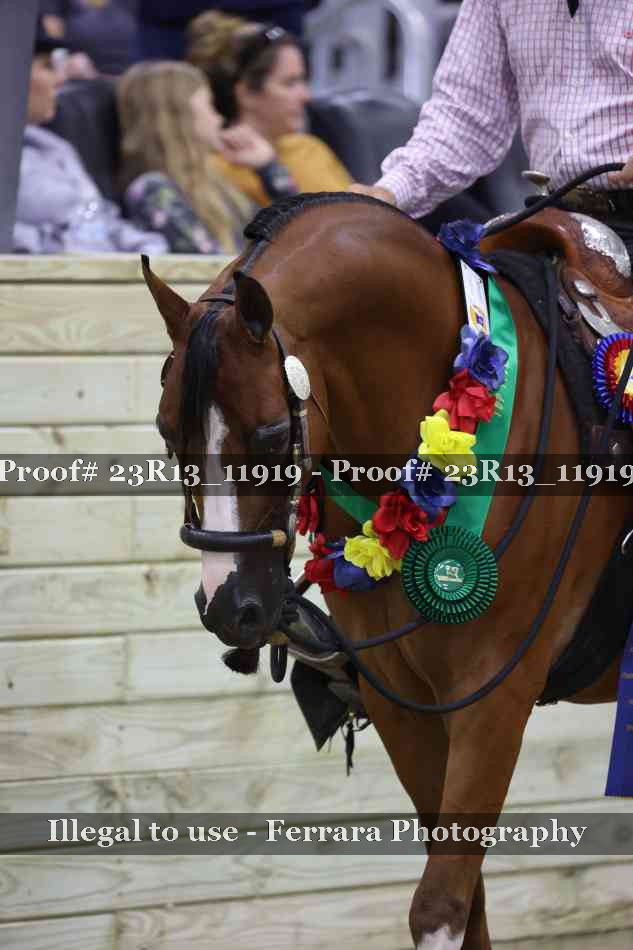 Proof Number 23R13_11919