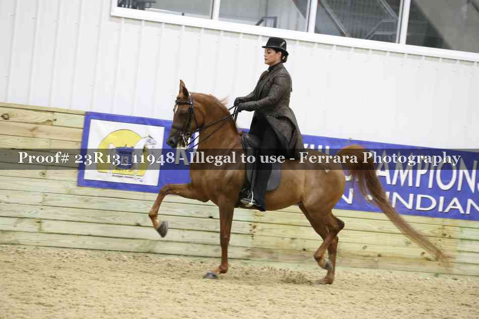 Proof Number 23R13_11948