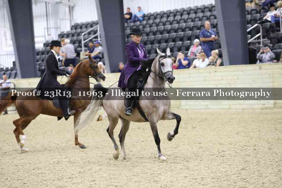 Proof Number 23R13_11963