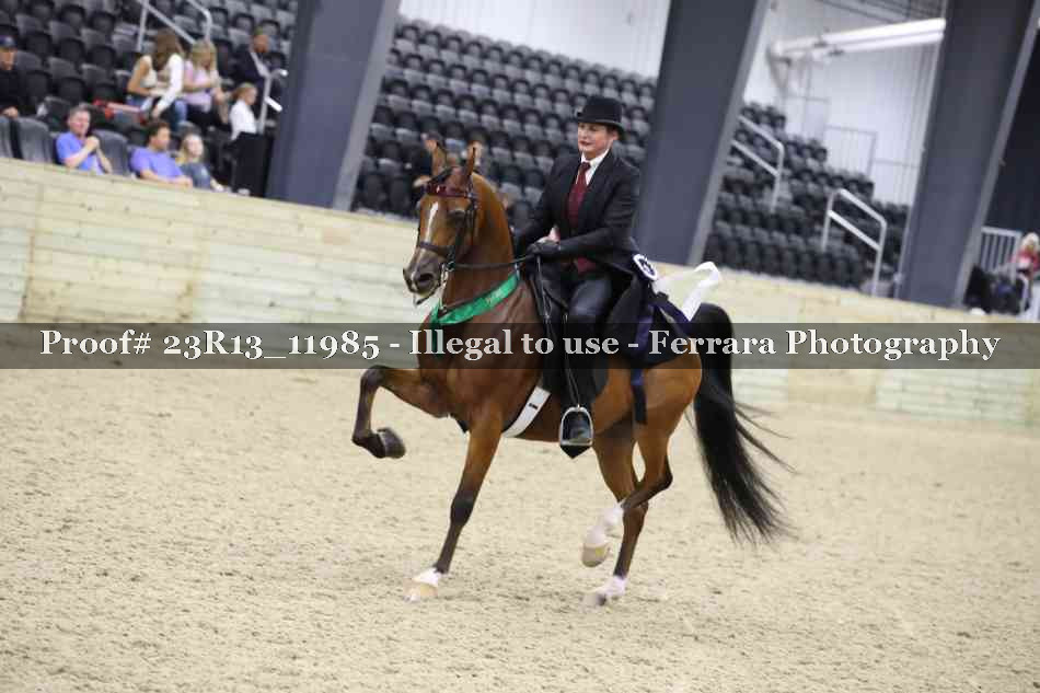 Proof Number 23R13_11985