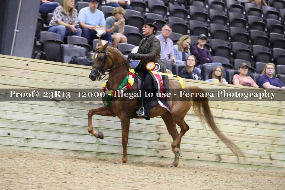 Proof Number 23R13_12000