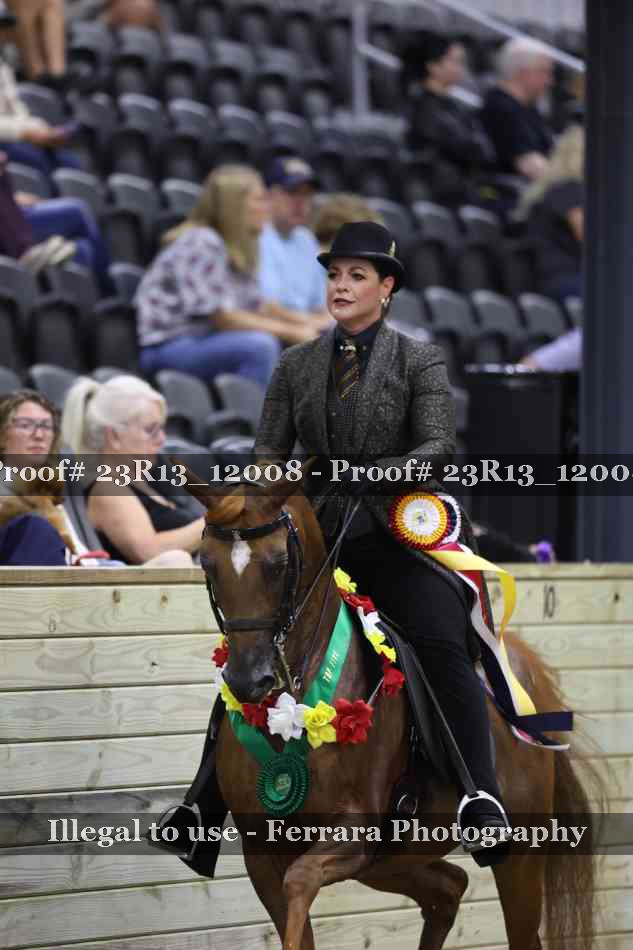 Proof Number 23R13_12008