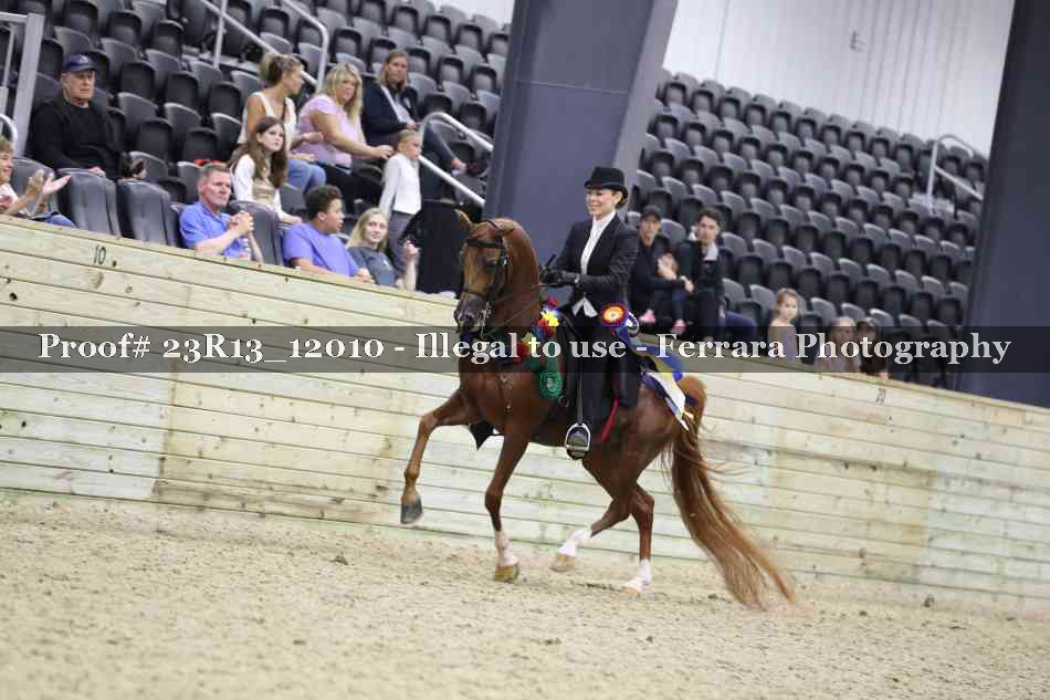 Proof Number 23R13_12010
