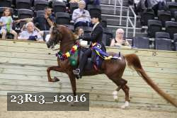 23R13_12016 thumbnail