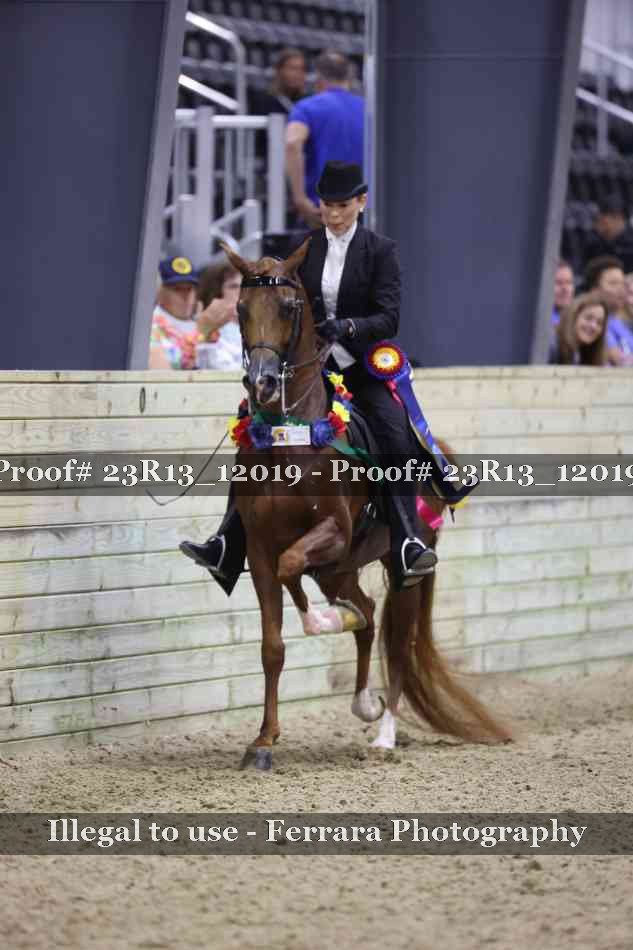Proof Number 23R13_12019