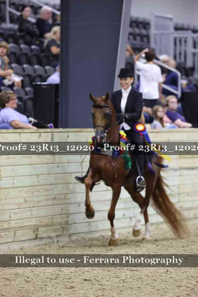 Proof Number 23R13_12020