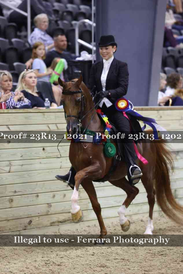Proof Number 23R13_12021
