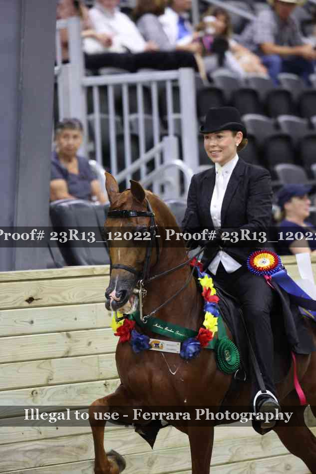 Proof Number 23R13_12022