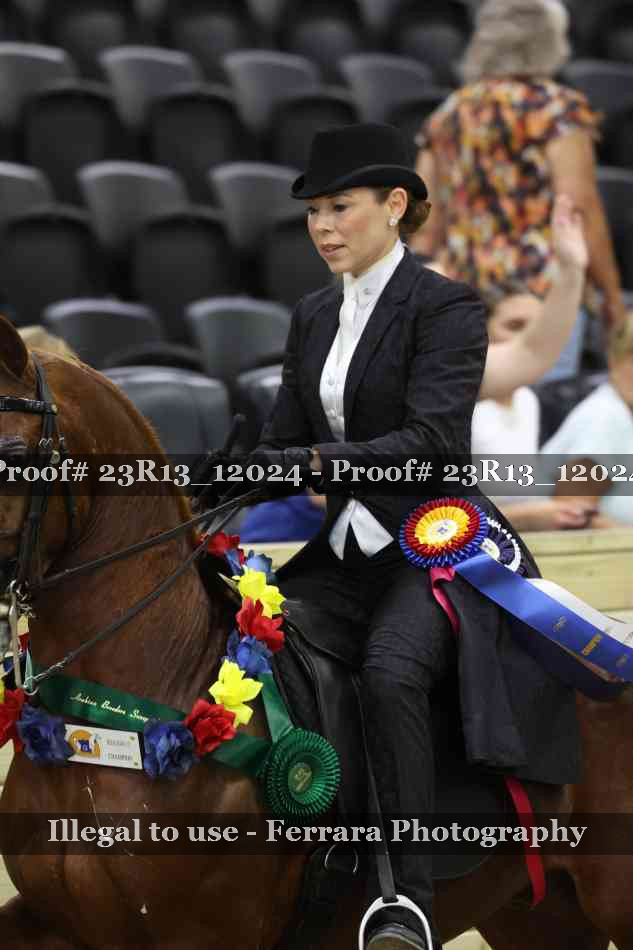 Proof Number 23R13_12024
