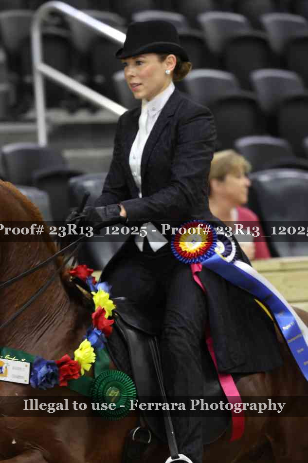 Proof Number 23R13_12025
