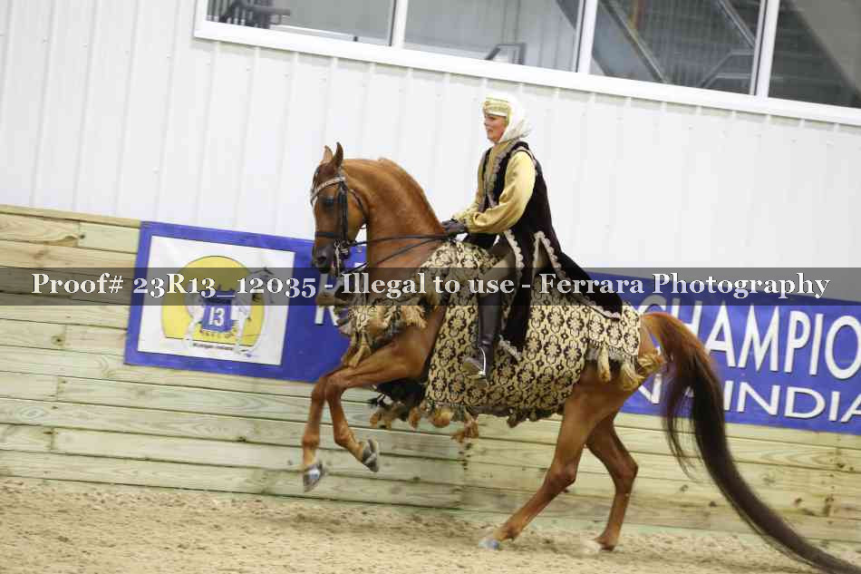 Proof Number 23R13_12035