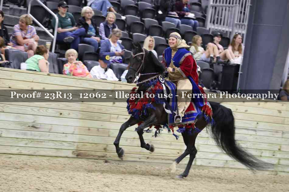 Proof Number 23R13_12062
