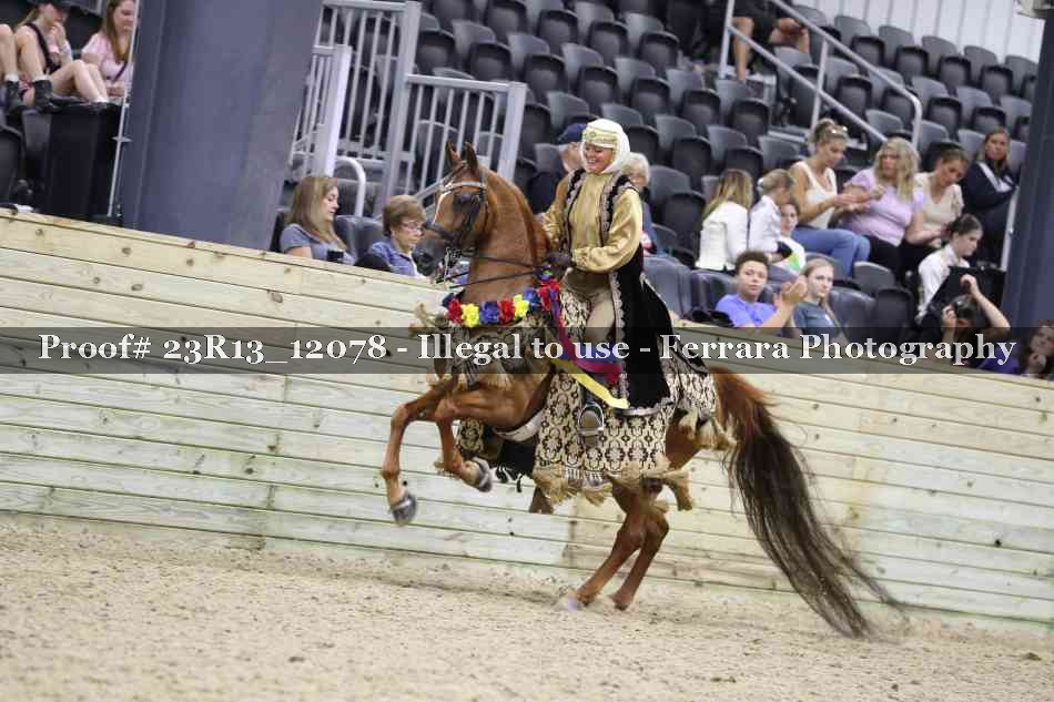 Proof Number 23R13_12078