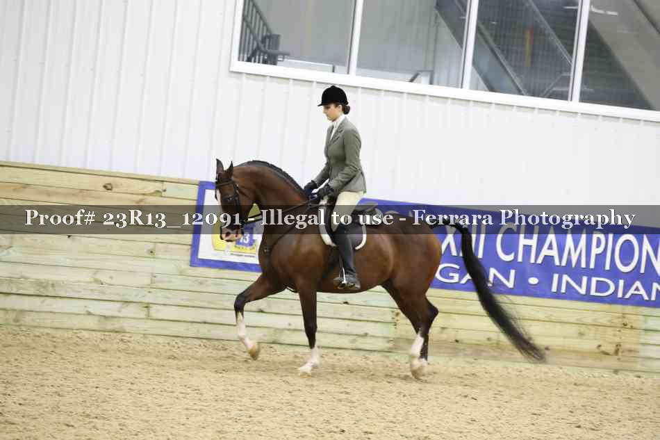 Proof Number 23R13_12091
