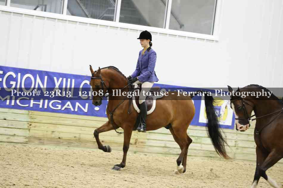Proof Number 23R13_12108