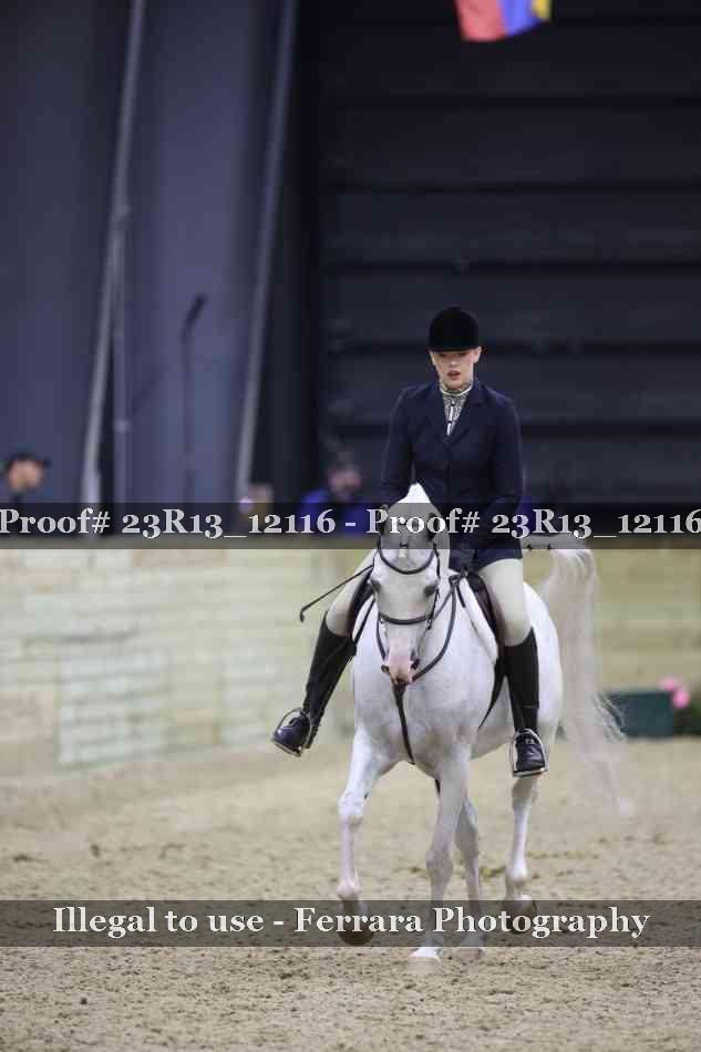 Proof Number 23R13_12116