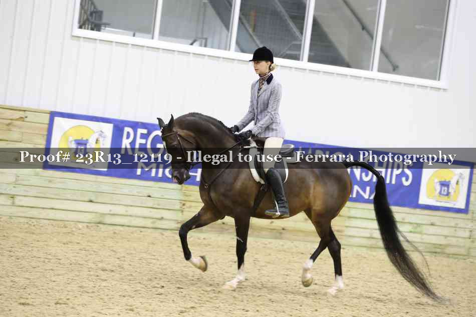 Proof Number 23R13_12119