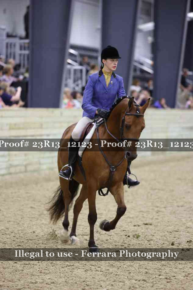 Proof Number 23R13_12123
