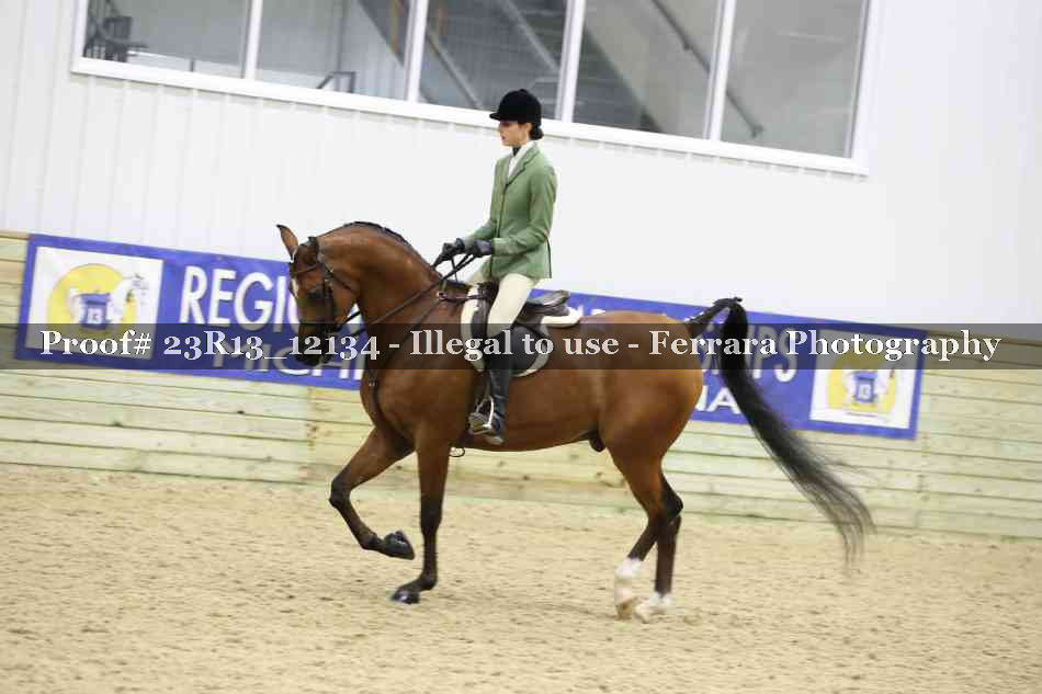 Proof Number 23R13_12134