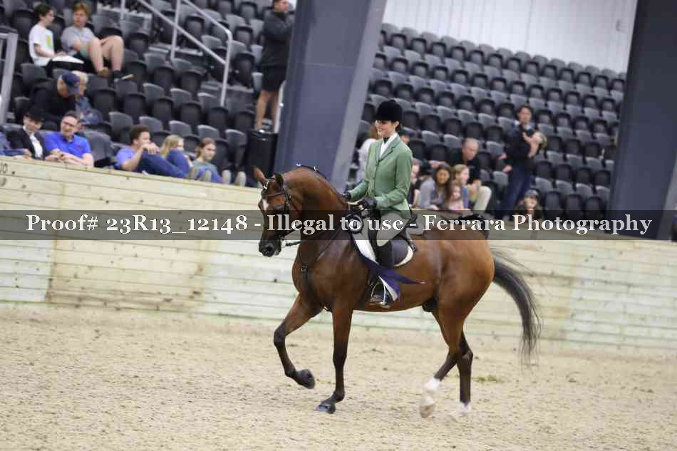 Proof Number 23R13_12148