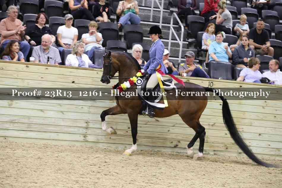 Proof Number 23R13_12161