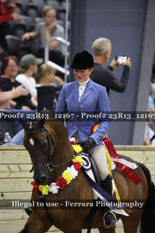 Proof Number 23R13_12167