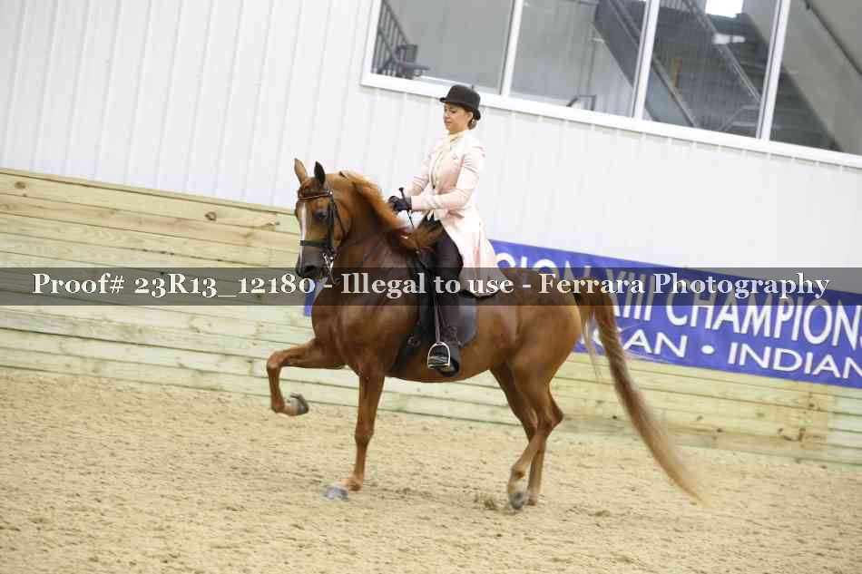 Proof Number 23R13_12180