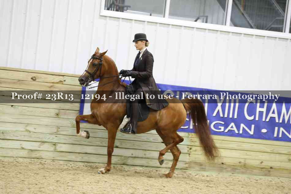 Proof Number 23R13_12194