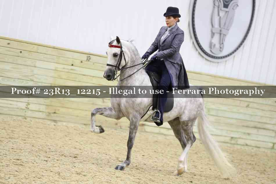 Proof Number 23R13_12215