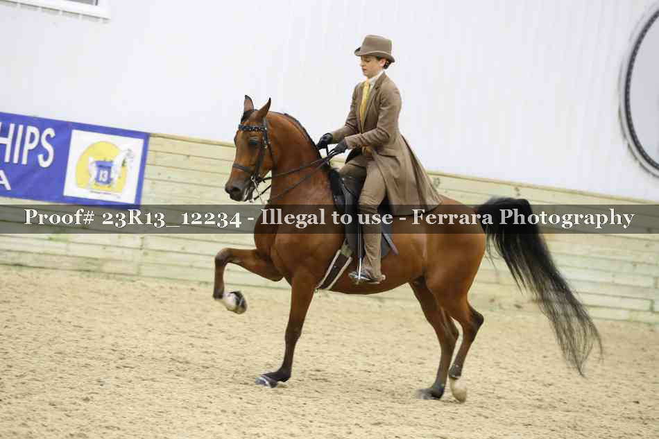 Proof Number 23R13_12234
