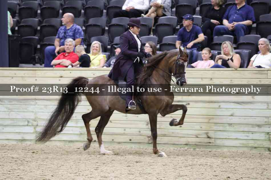 Proof Number 23R13_12244