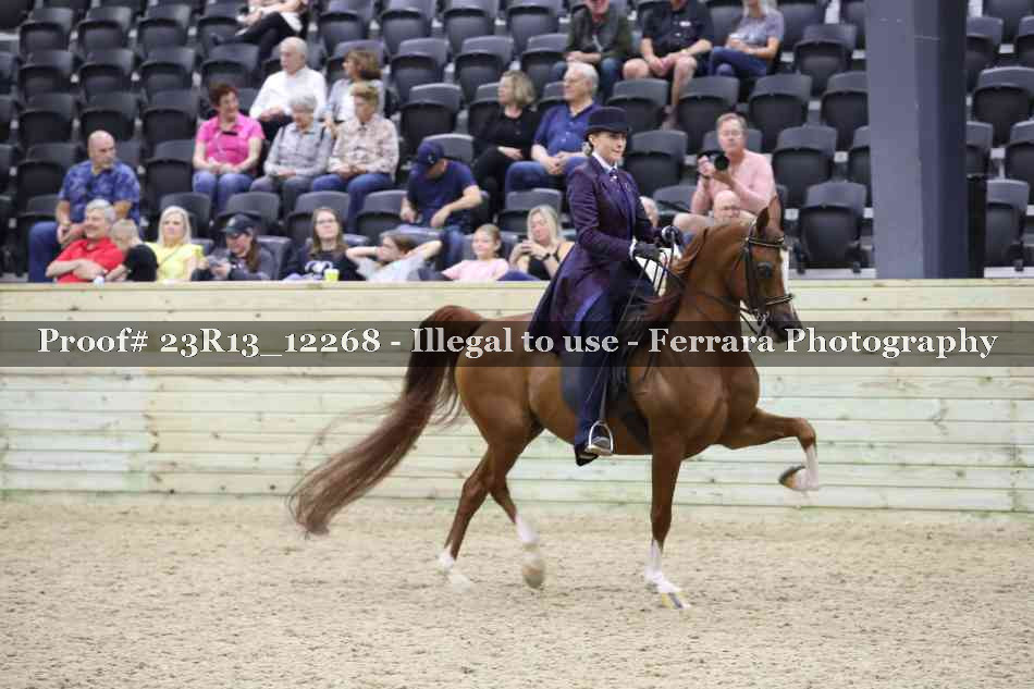 Proof Number 23R13_12268