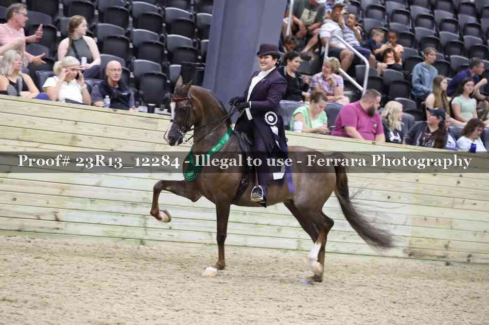 Proof Number 23R13_12284