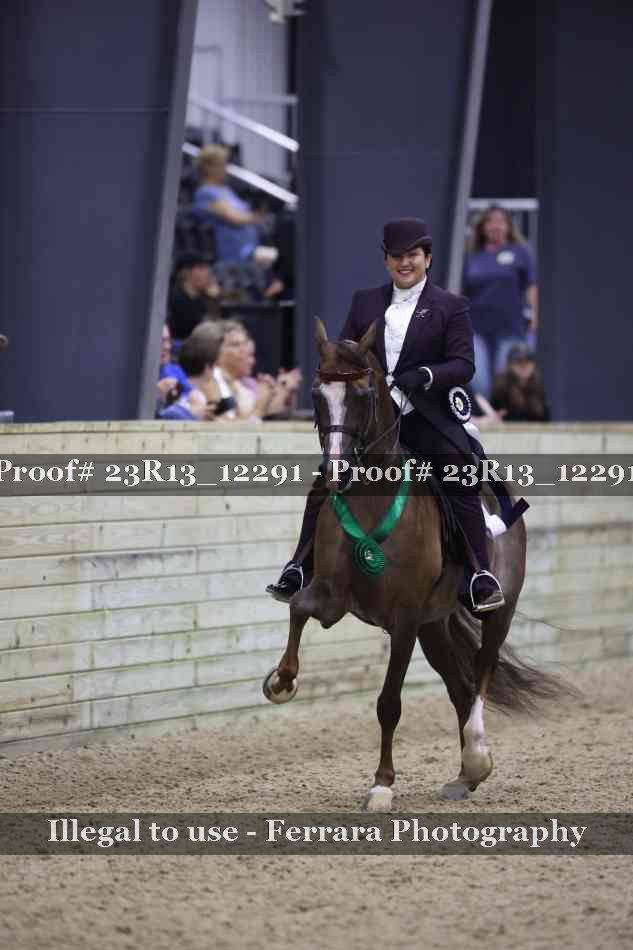 Proof Number 23R13_12291