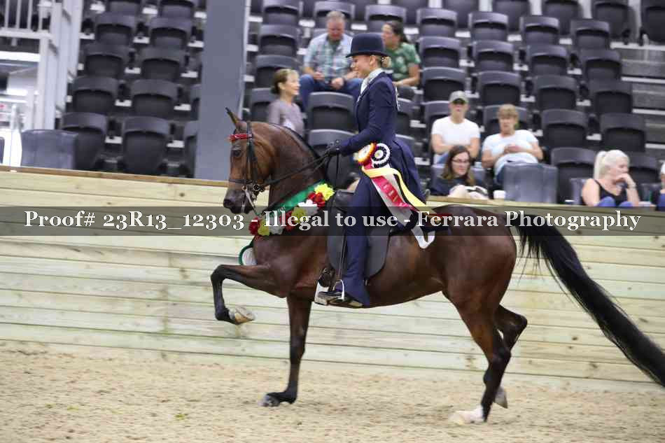 Proof Number 23R13_12303
