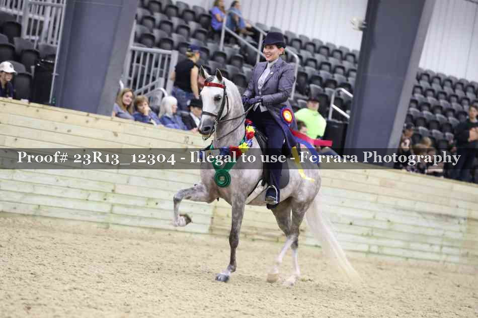 Proof Number 23R13_12304