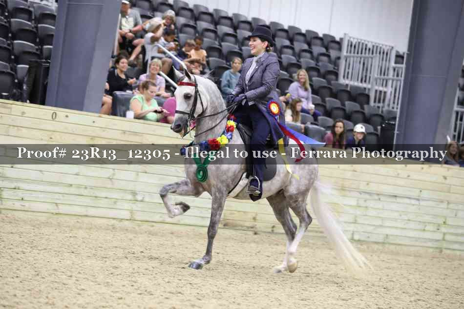 Proof Number 23R13_12305