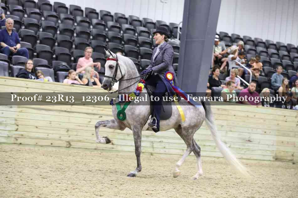 Proof Number 23R13_12306
