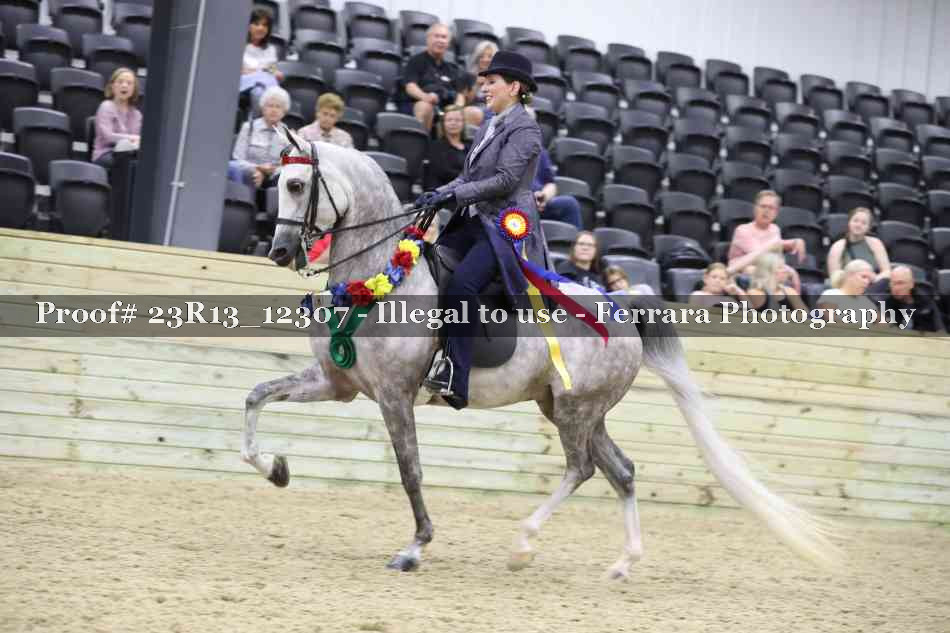 Proof Number 23R13_12307
