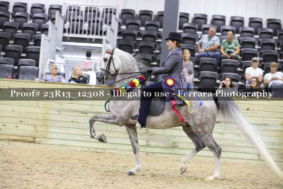 Proof Number 23R13_12308