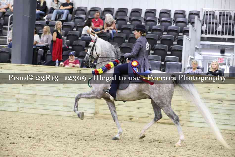Proof Number 23R13_12309