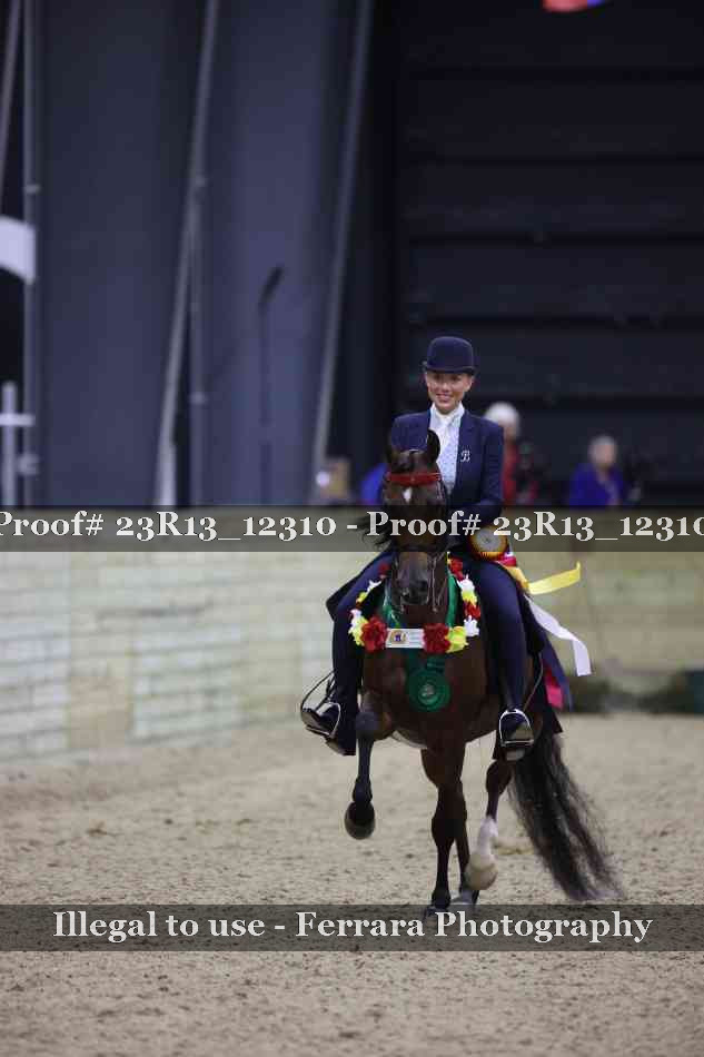 Proof Number 23R13_12310