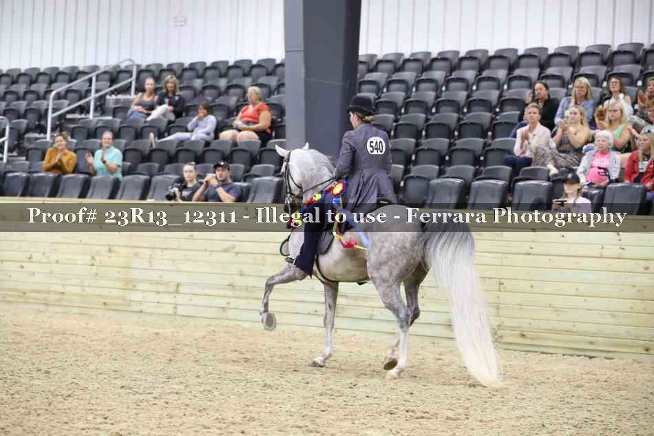 Proof Number 23R13_12311
