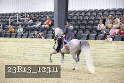 23R13_12311 thumbnail