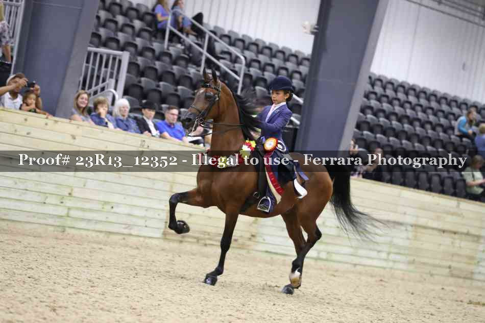 Proof Number 23R13_12352