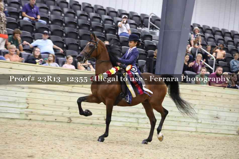Proof Number 23R13_12355