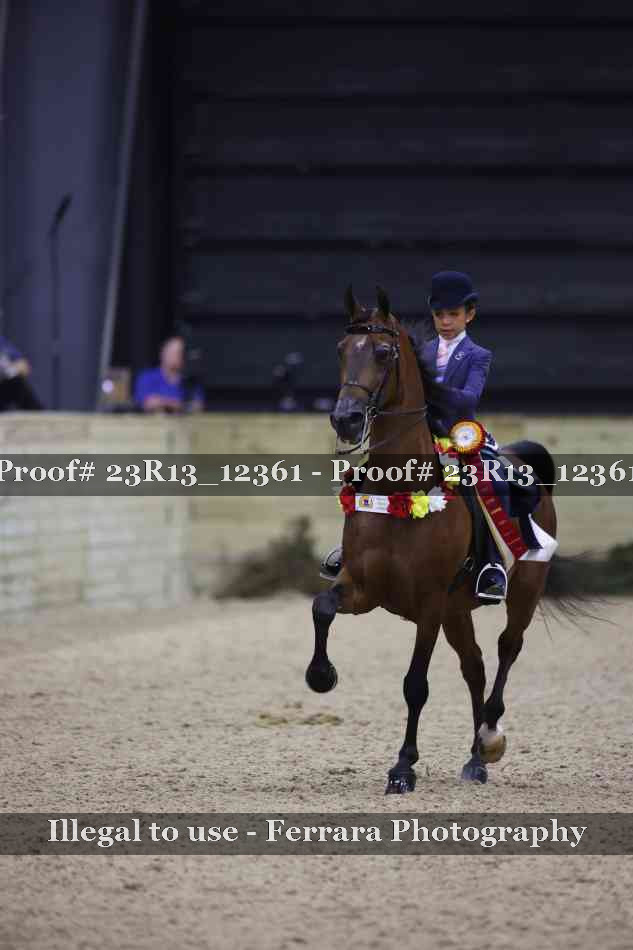 Proof Number 23R13_12361